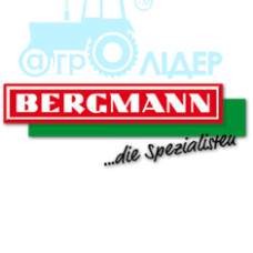 Гідроциліндр задньої заслінки BERGMANN (рем)